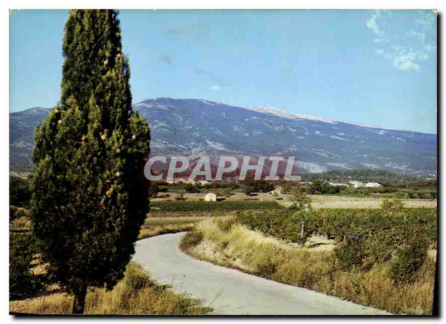 CPM Les Belles Images de Provence Le Mont Ventoux vue panoramique 