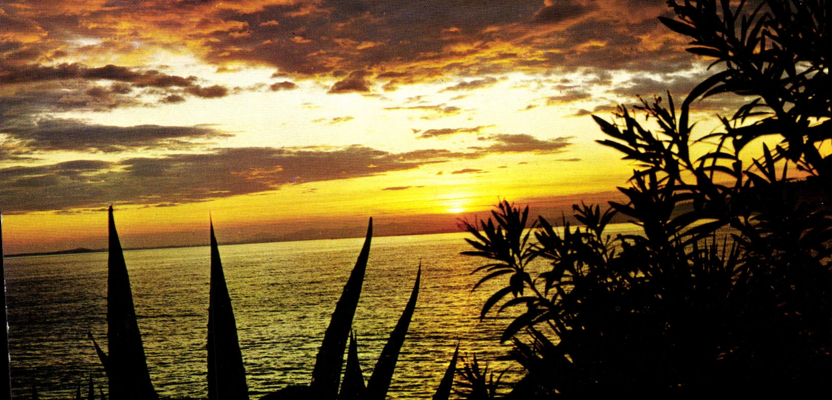 CPM Cote d'Azur Coucher de Soleil 