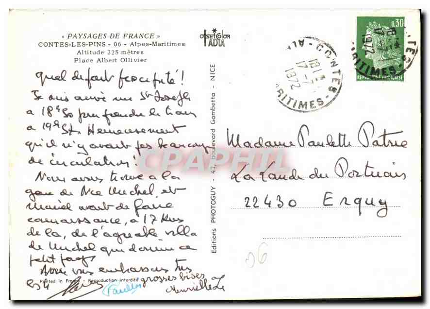 CPM Paysages de France Contes les Pins Alpes Maritimes  — Rückseite