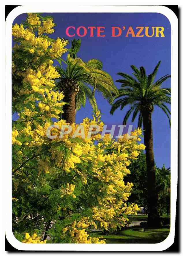 CPM Cote d'Azur 