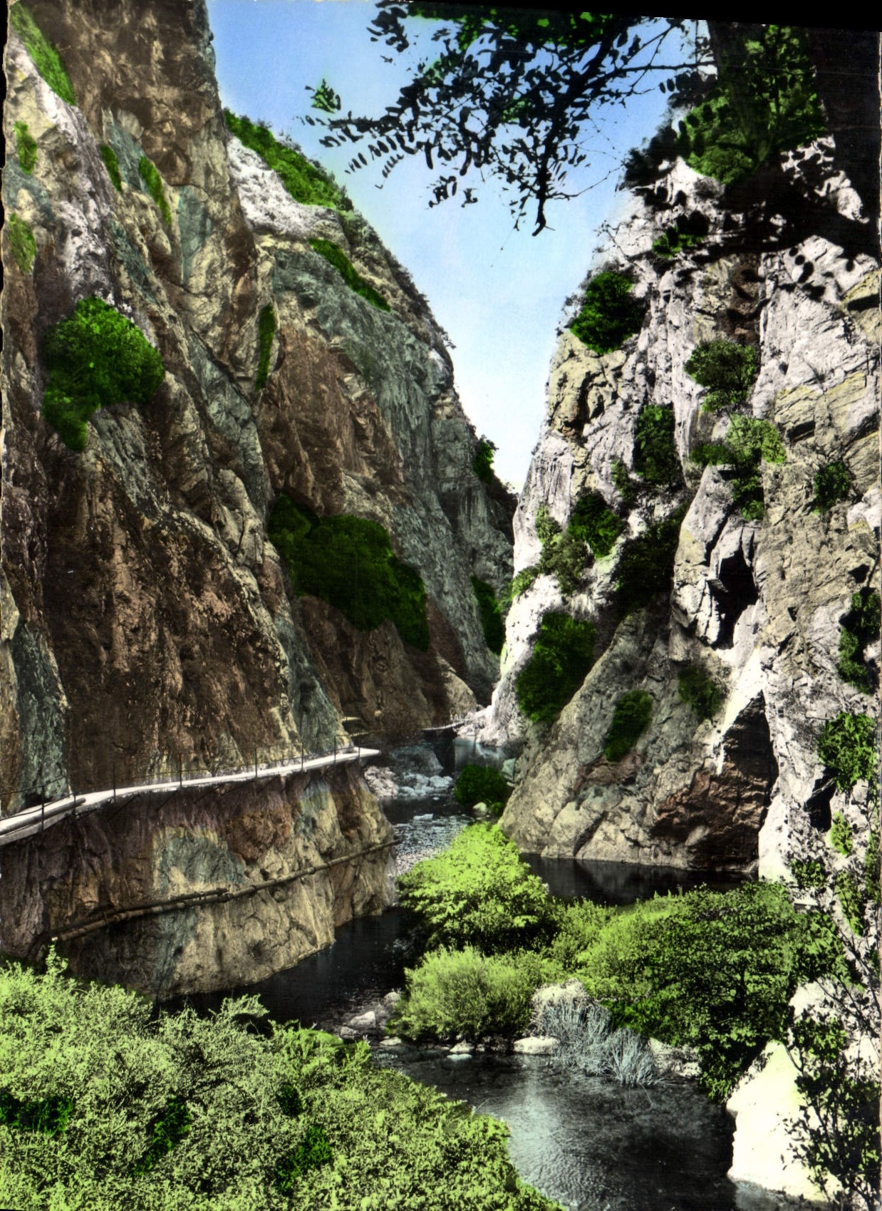CPM Amelie les Bains Gorges du Mondony 