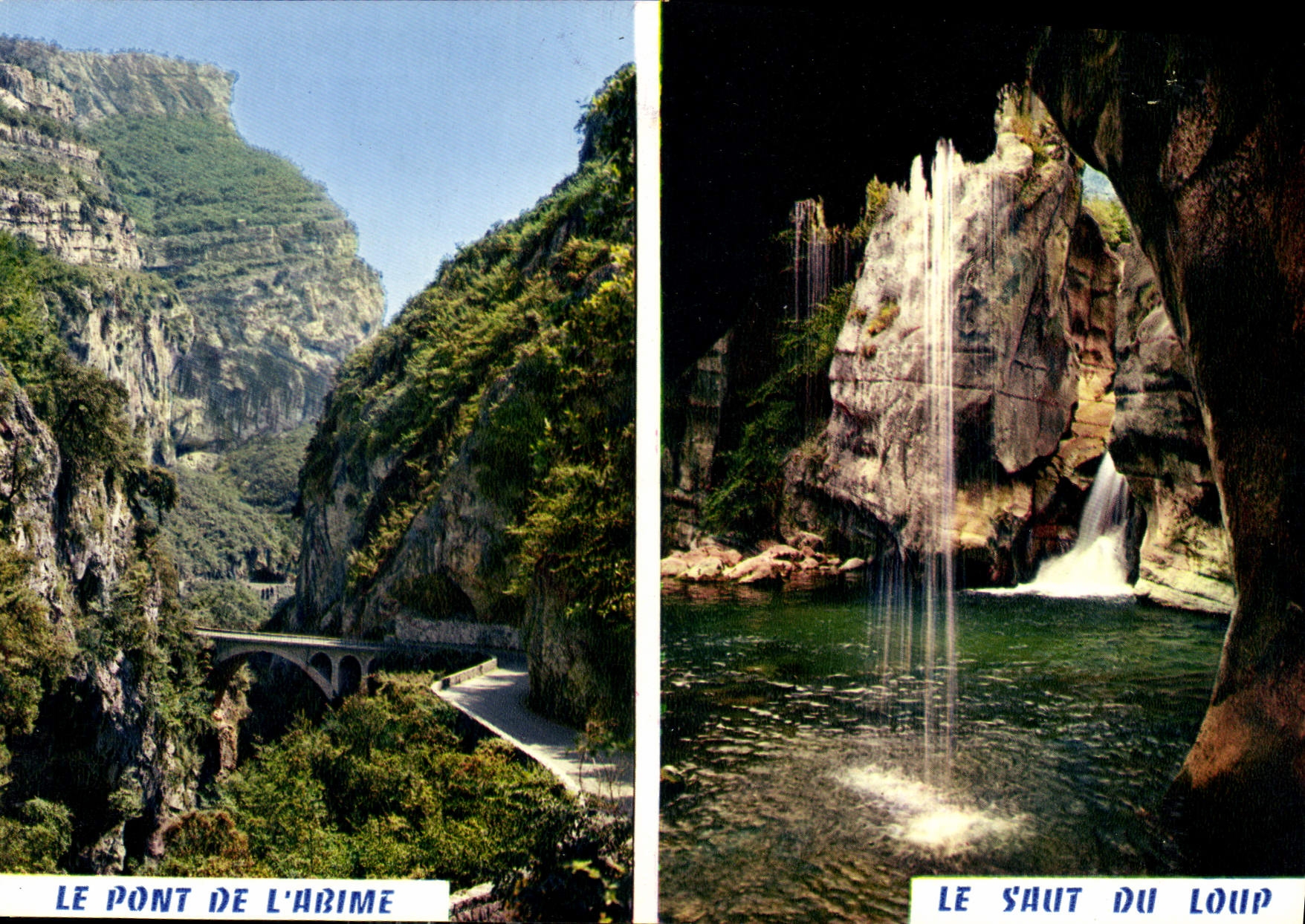 CPM Le Pont de l'Abime Le Saut du Loup 