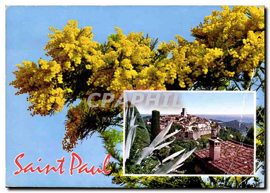 CPM Saint Paul Cote d'Azur French Riviera 