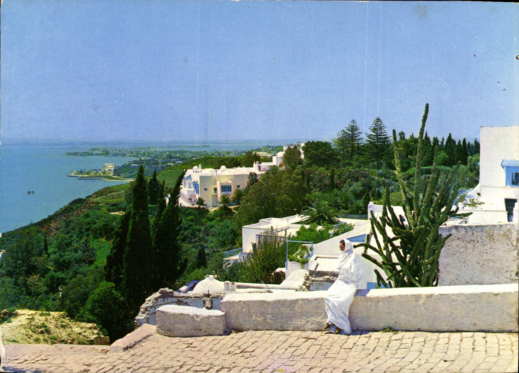 CPM Sidi bou Said Tunisie la colline et ses Jardins 