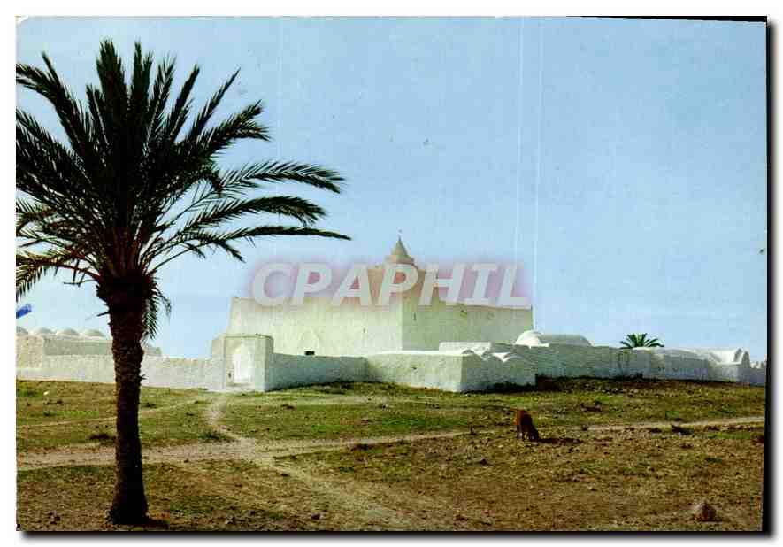 CPM Tunisie Djerba Mosquee sur la route de Mellita 