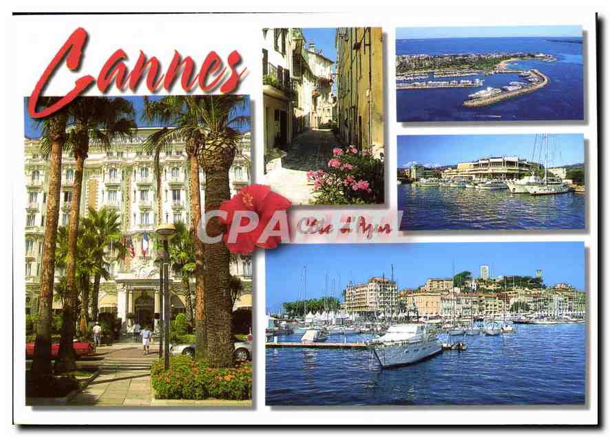 CPM Cote d'Azur Cannes Alpes Maritimes 