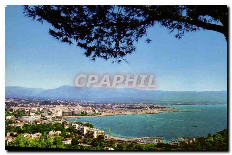 CPM Au Soleil de la Cote d'Azur Antibes vue generale 