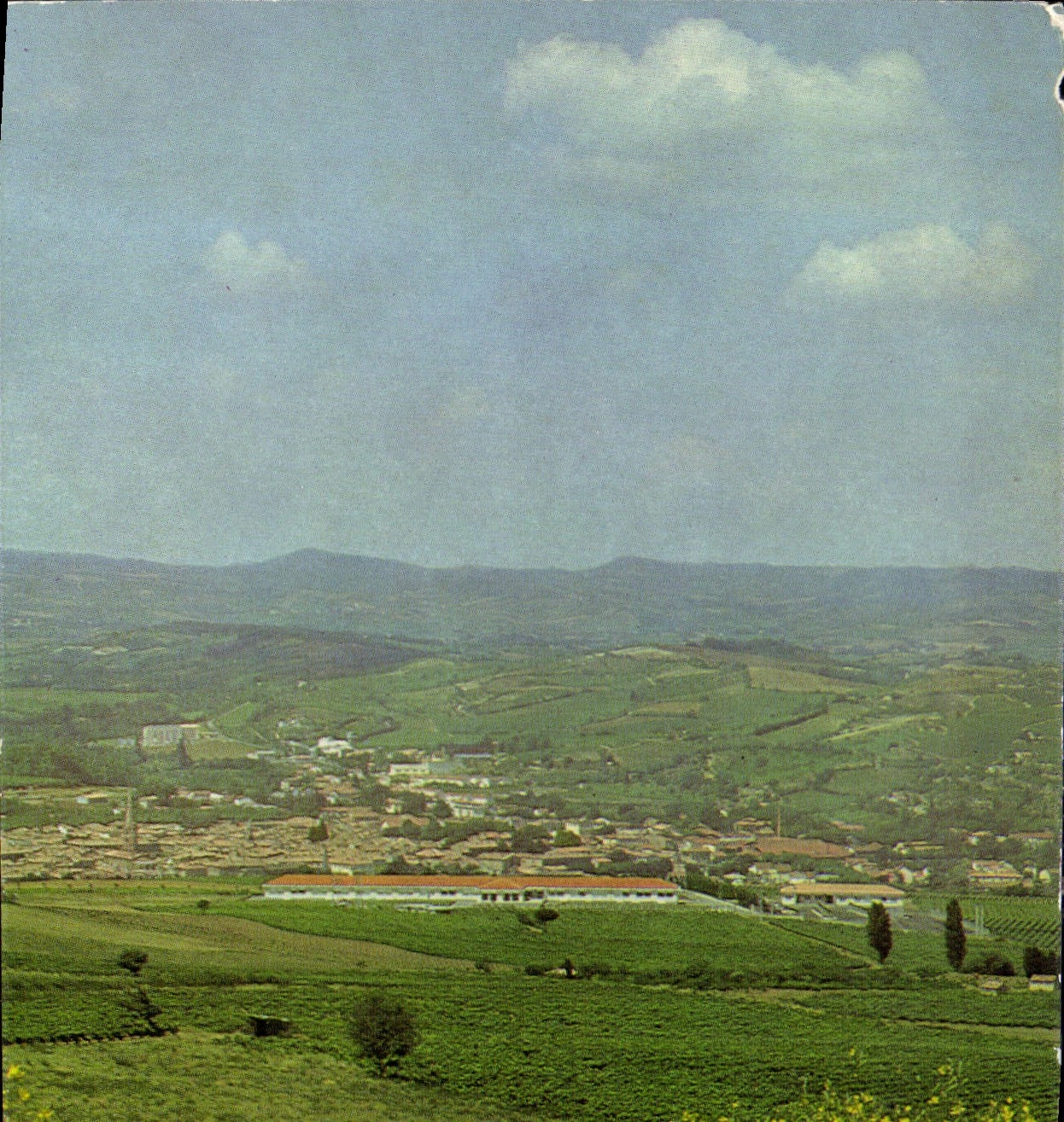 CPM Centre Psychotherapique Saint Joseph de Cluny Limoux vue generale de Limoux au premier Plan les 