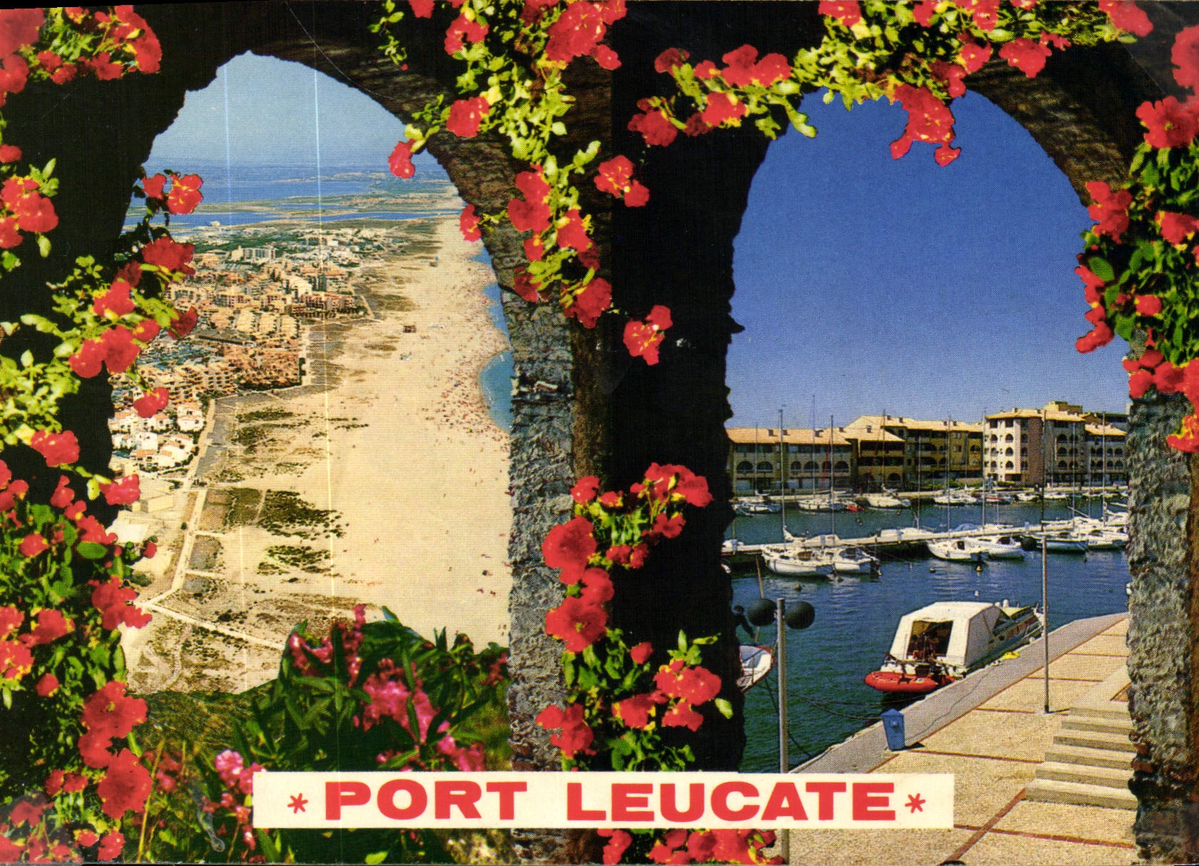 CPM En Parcourant la Cote Mediterraneenne Port Leucate Aude 