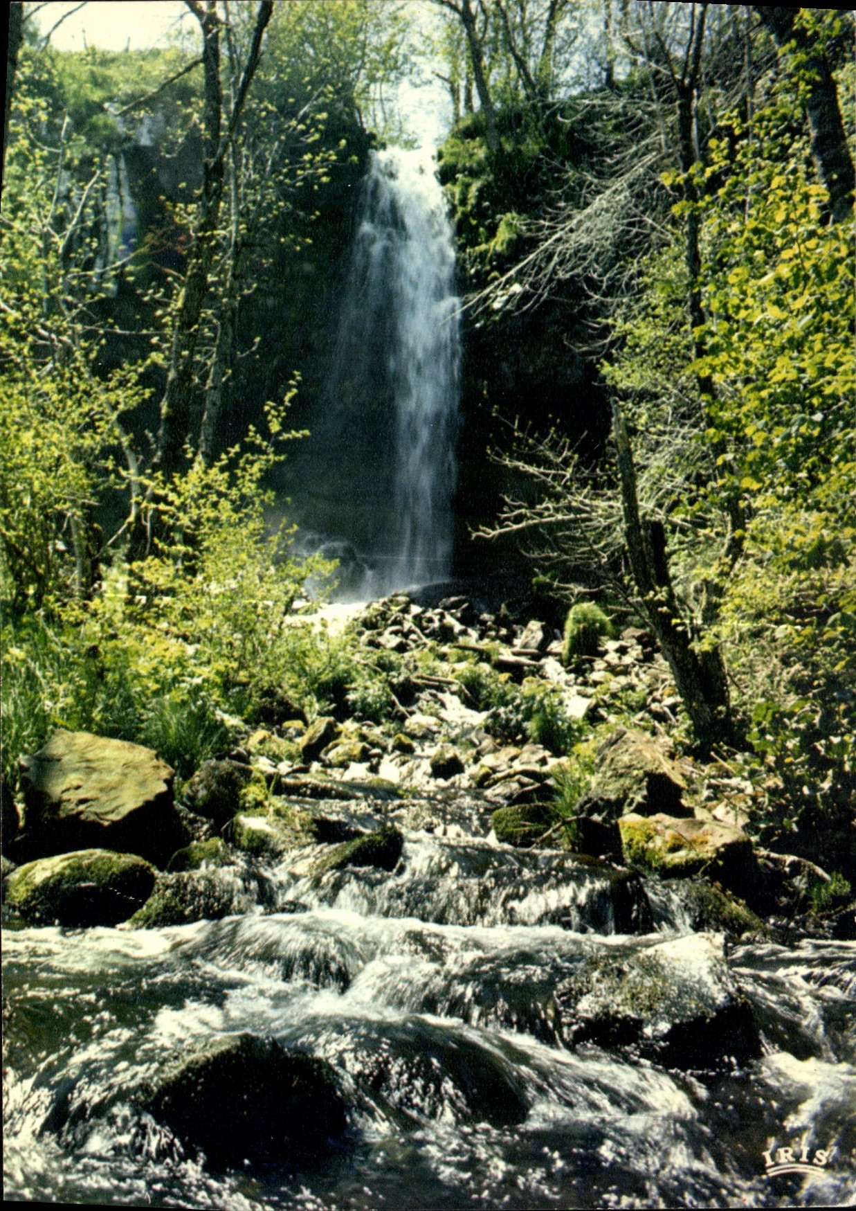 CPM En Auvergne la cascade St Urcize 