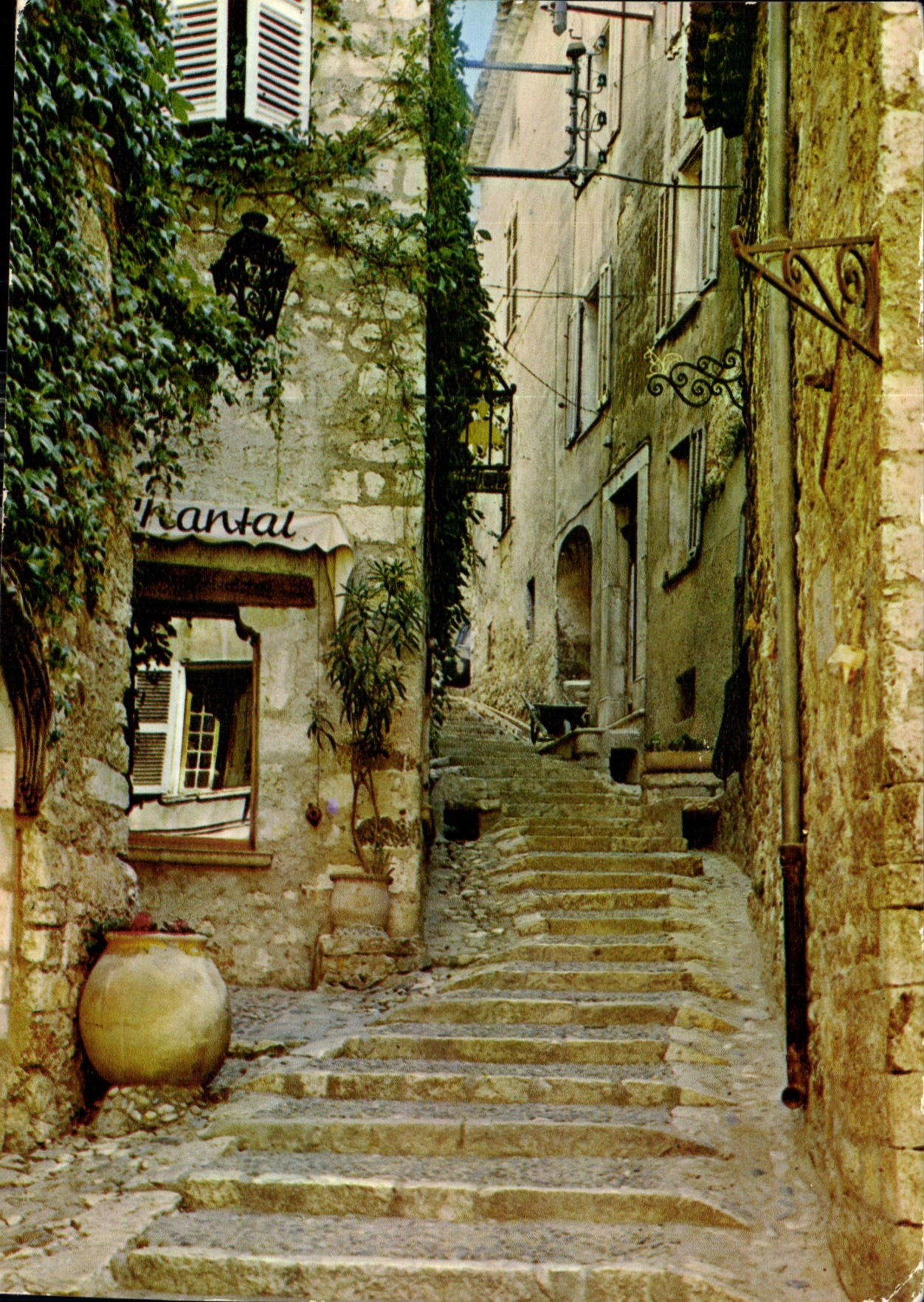 CPM Reflets de la Cote d'Azur Saint Paul de Vence A M La Montee de l'Eglise 