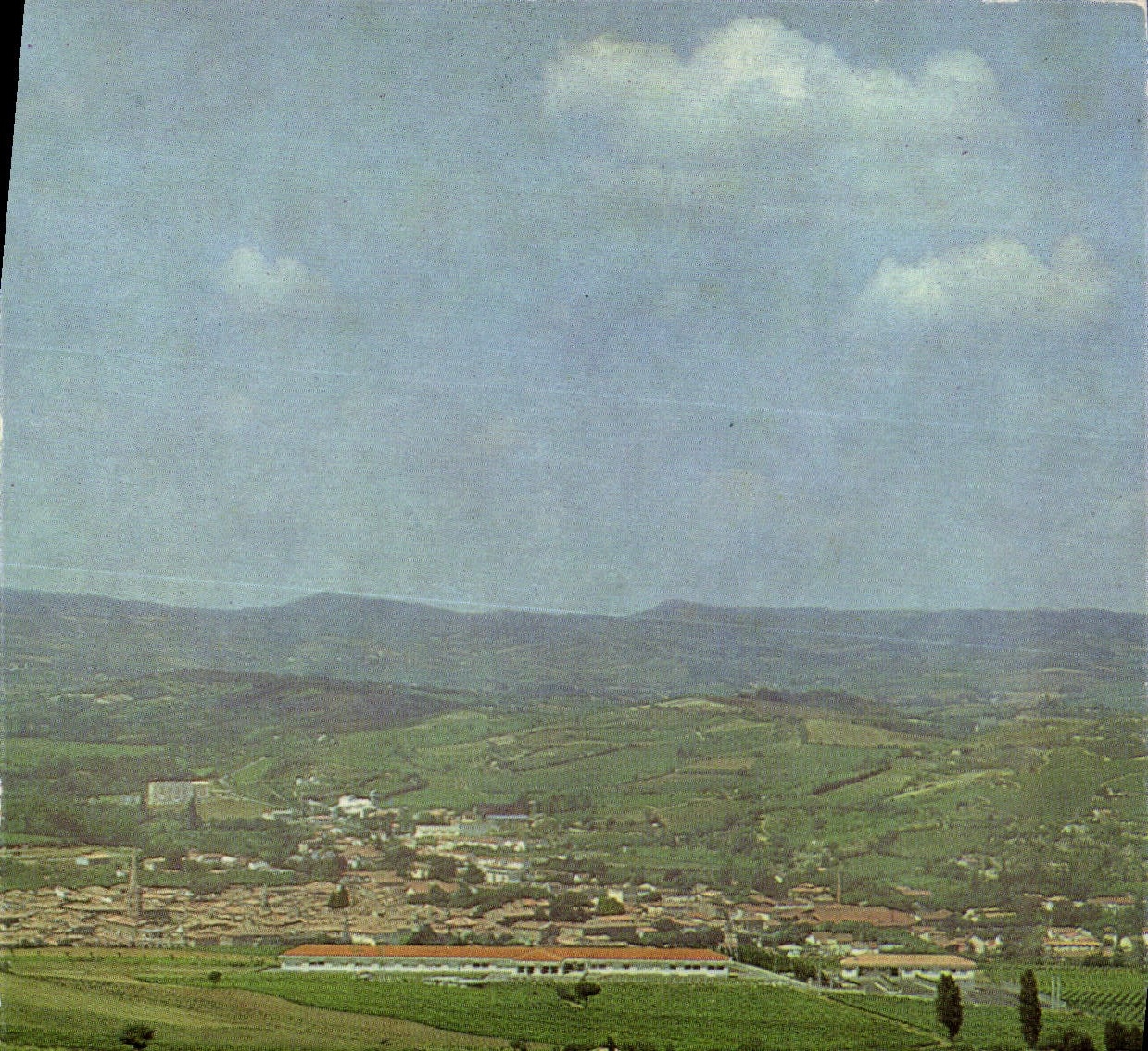 CPM Limoux Vue generale de Limoux au premier plan Les Tilleuls 