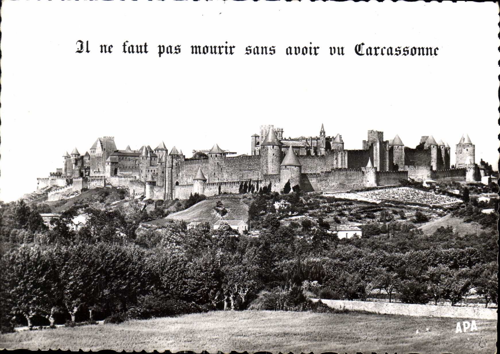 CPM Carcassonne Aude La Cite vue de l'Aude 