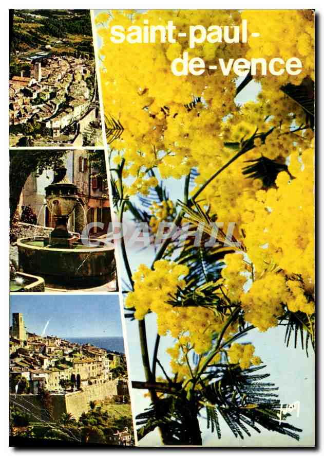CPM Couleurs et Lumiere de France La Cote d'Azur Miracle de Nature Saint Paul de Vence Alpes Maritim