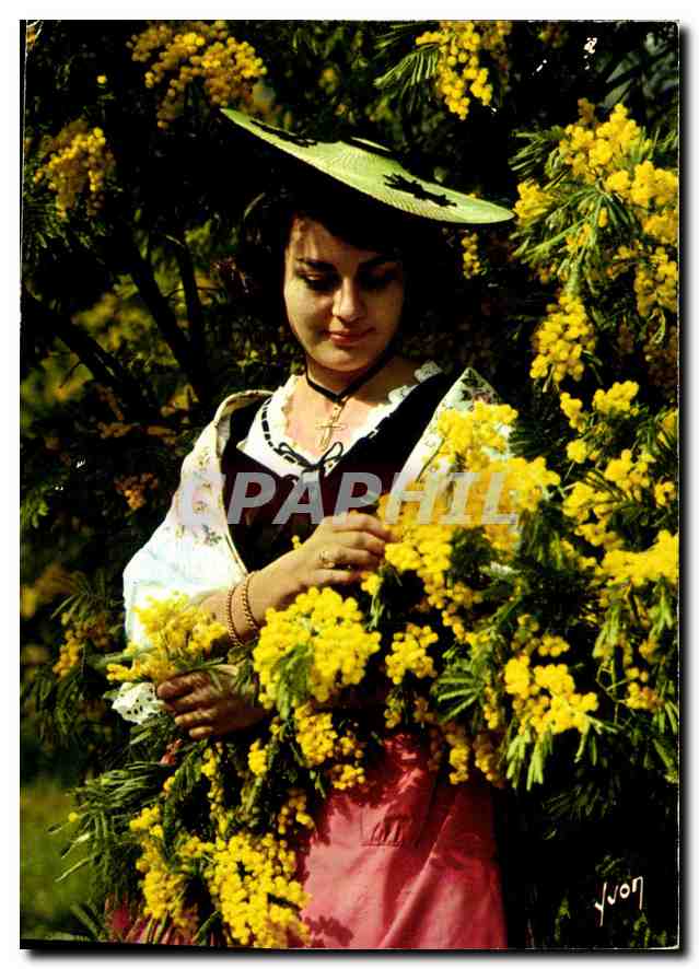 Woman Picking Mimosa — Éditions Yvón, n°10/3101