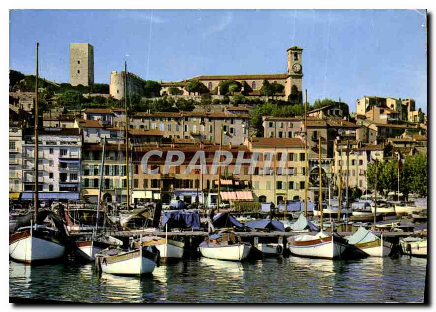 CPM Cannes Un coin du Port le Quai St Pierre et le Suquet 