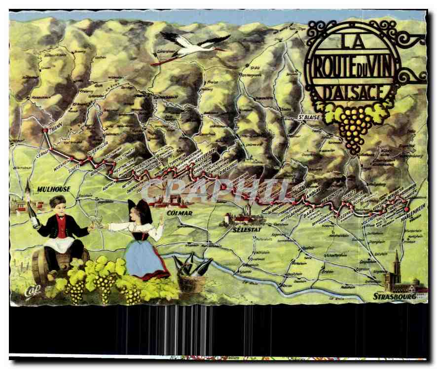 CPA La Route du Vin d'Alsace 