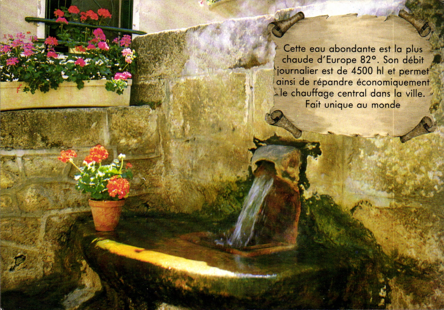 CPA Le Cantal Touristique Chaudes Aigues Cantal Station Thermale Le Source d'eau chaude 
