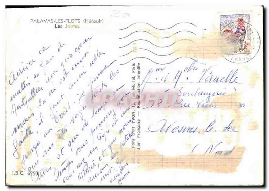 Modern Postcard Palavas les flots Herault Les Joutes — Back