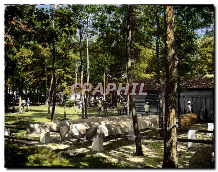 La Vallée de l'Yonne — Le camp de la colonie de vacances de l'E.G.F. — Editions VALOIRE