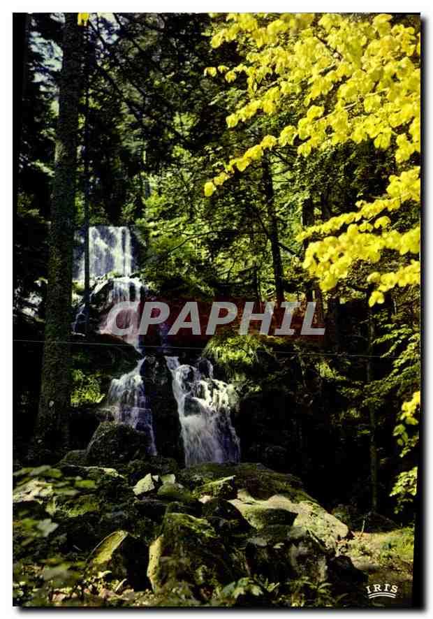CPM Les Vosges pittoresque Cascade de Tendon 