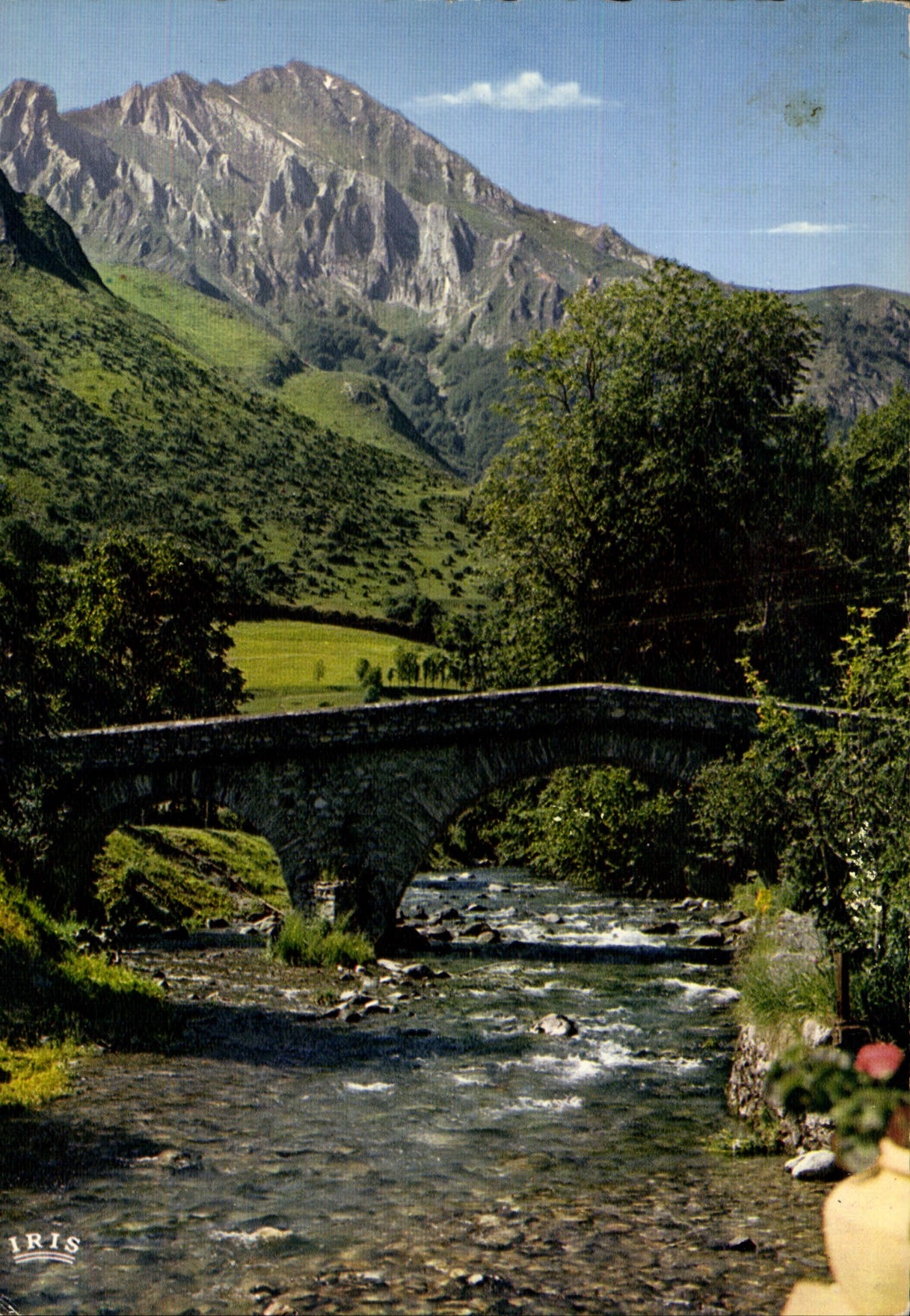 CPM Les Pyrenees Arrens vieux pont sur le Gave d'Azun et le Pic du Midi 