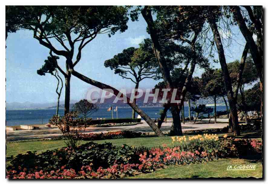 CPM Reflets de la Cote d'Azur Juan les Pins les Terrasses du Casino 