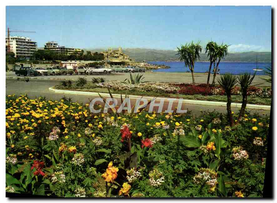 CPM La Cote d'Azur Antibes l'Ilette au fond les Remparts et la Chaine des Alpes 