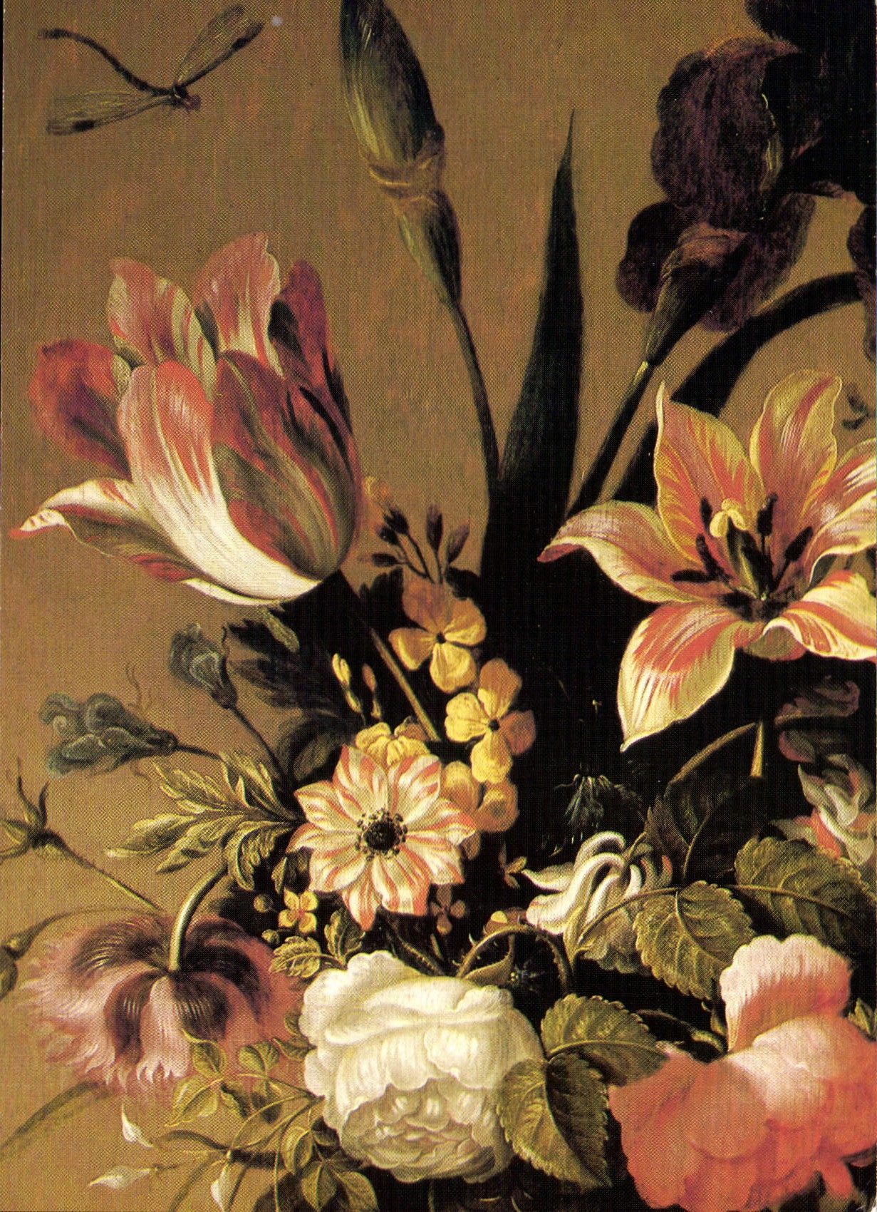 Fleurs — Ambrosius Bosschaert le jeune, c.1640 — Cambridge, Fitzwilliam Museum