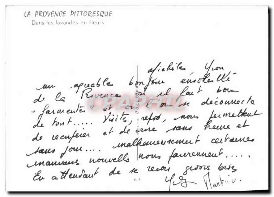 CPM La Provence Pittoresque dans les Lavandes en fleurs  — Rückseite