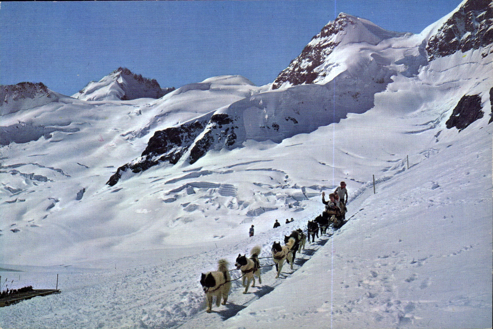 CPM Jungfraujoch Polarhunde mit Gletscherhorn und Rottalhorn 