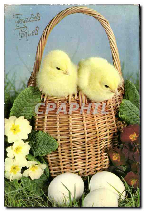 CPM Poussins