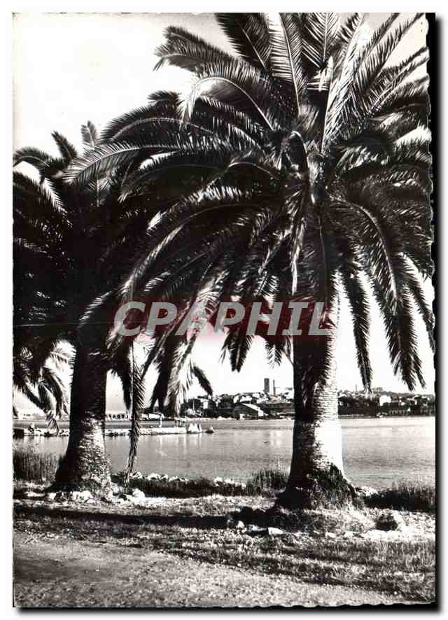 CPM Antibes Vuesur la vieille ville 