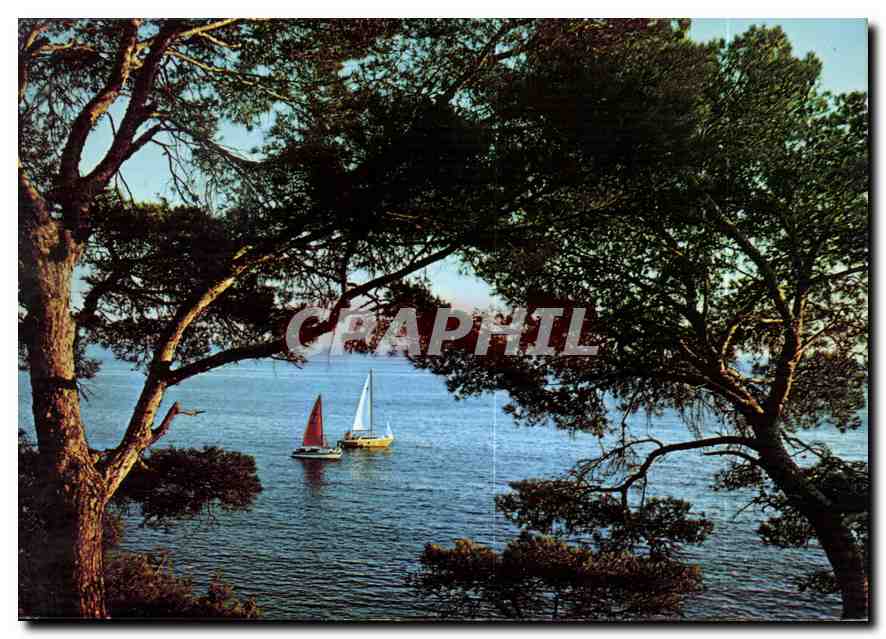 Vue de la Côte d'Azur — Un coin de la Méditerranée — Cal. 16 — Édition Y.P.A.