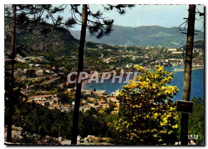 CPM Reflets de la Cote d'Azur Vue sur Theoule et La Napoule A Mmes 
