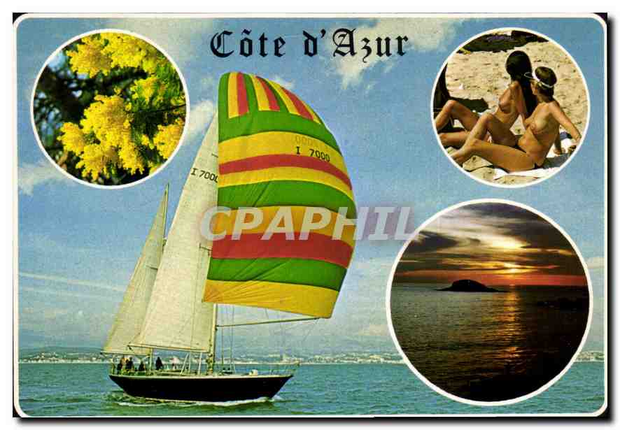 CPM Au soleil de la Cote d'Azur le Paradis Mediterraneen 