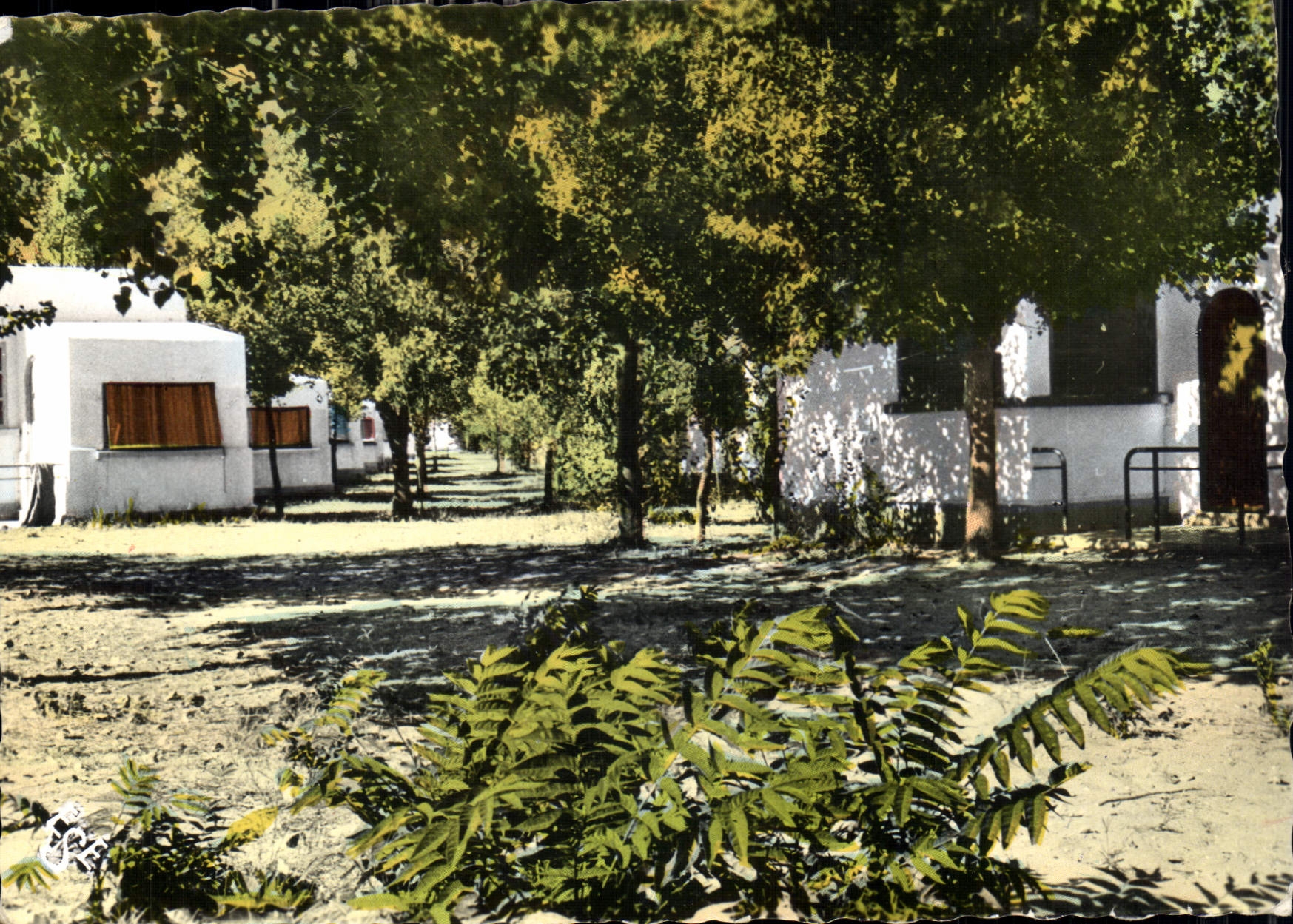 CPM La France Touristique Marseillan Herault Bungalows Standards 