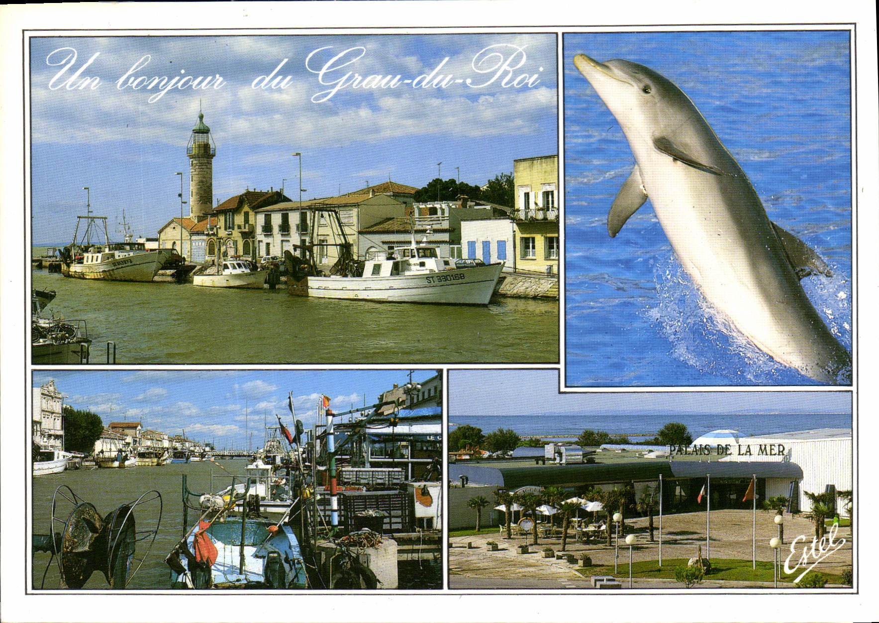 CPM En Camargue Le Grau du Roi Gard 