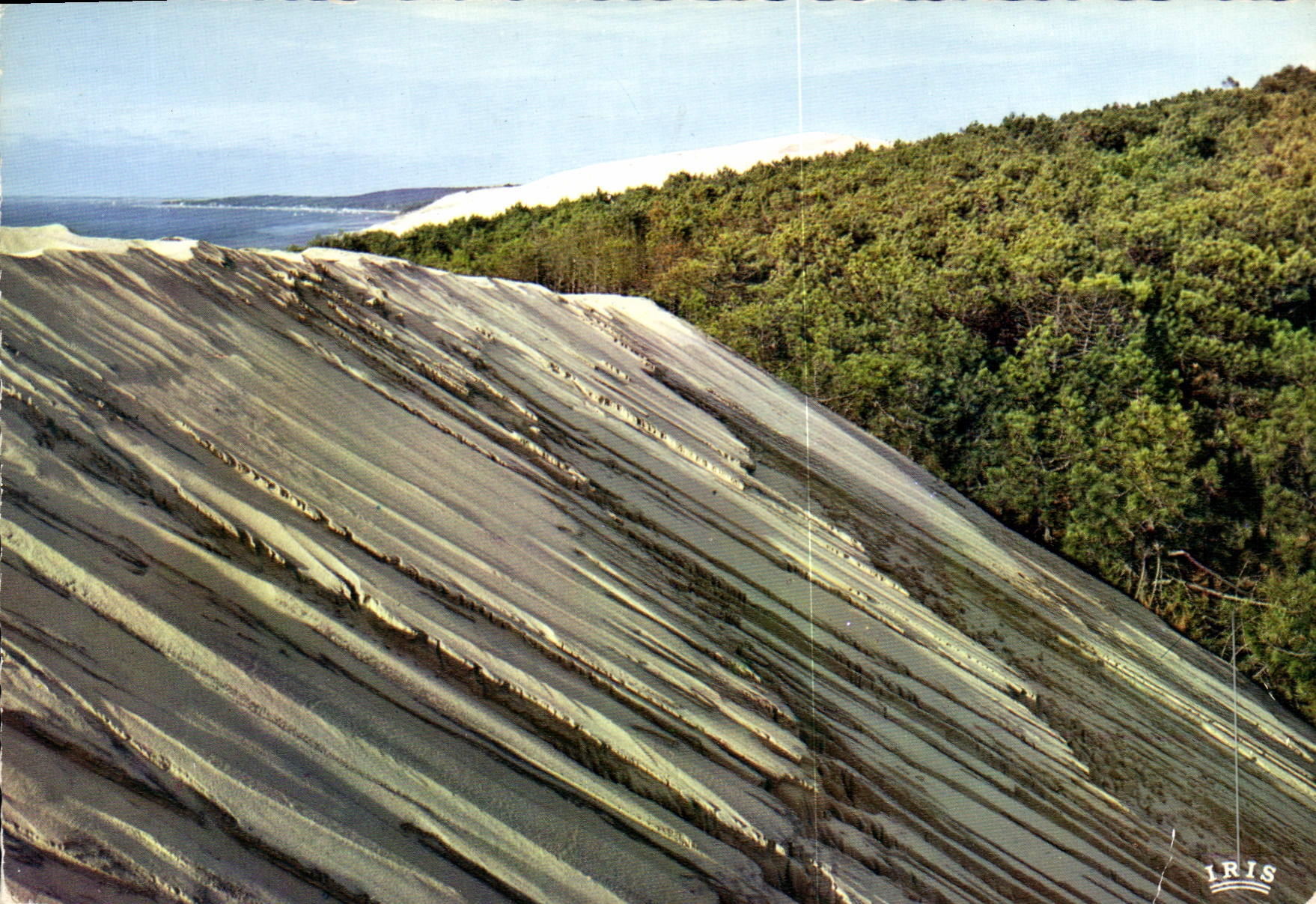 Dunes de Pyla — les plus hautes d'Europe — 115 m — Éditions Modernes & Théophile
