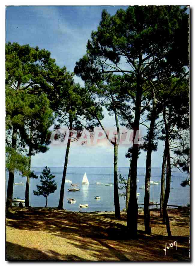 Bassin d'Arcachon — Vue du Cap-Ferrat — Éditions Jean-Jaures