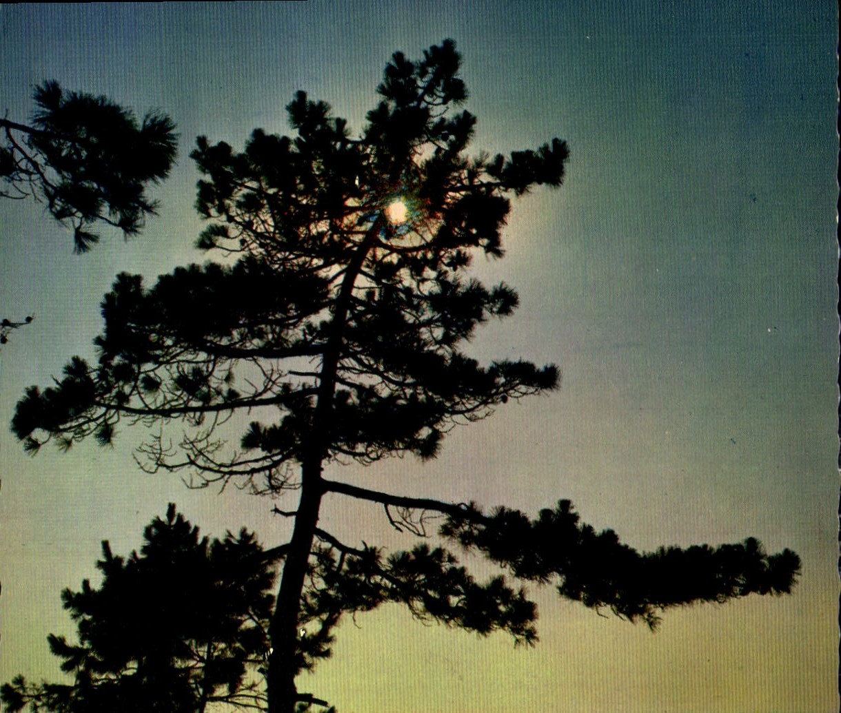 Bassin d'Arcachon — La lune sortant des nuages noirs — Éditions Mexichrome, n° 33/115