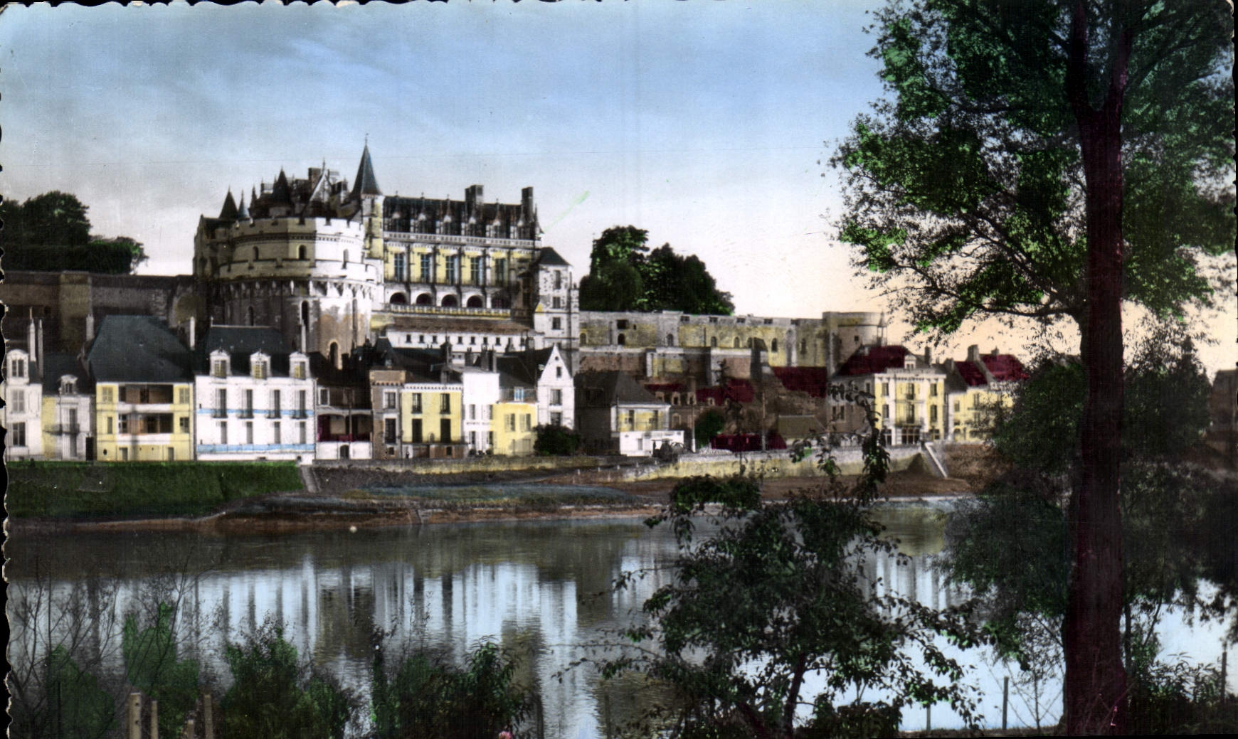 CPM Amboise Indre et Loire Le Chateau SV s et la Loire 