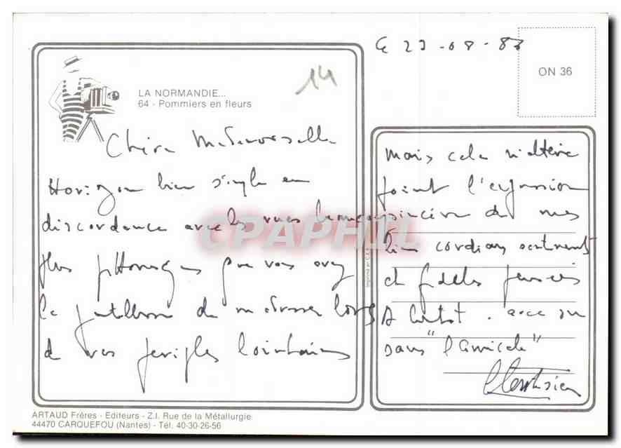 CPM La Normandie Pommiers en fleurs Vaches  — Rückseite