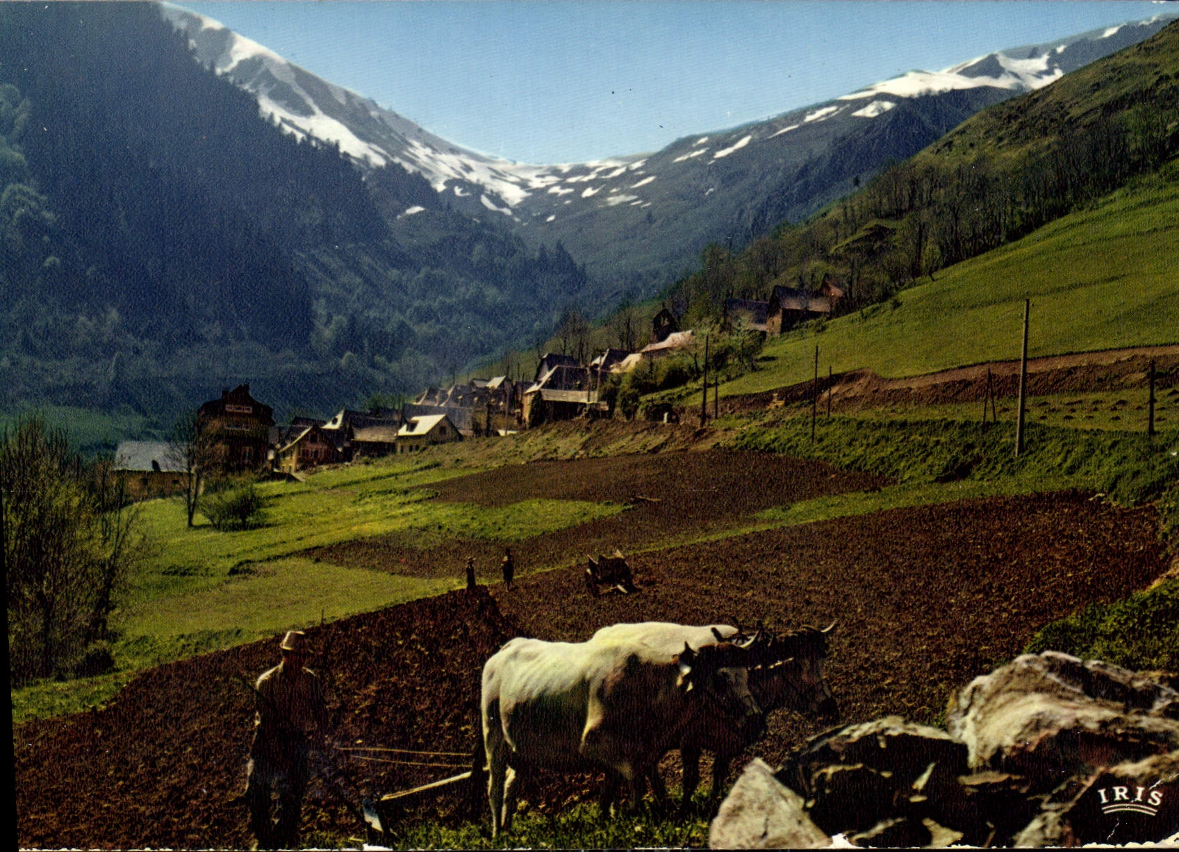 Vallée d'Oueil — Les Pyrénées — Éditions IRIS