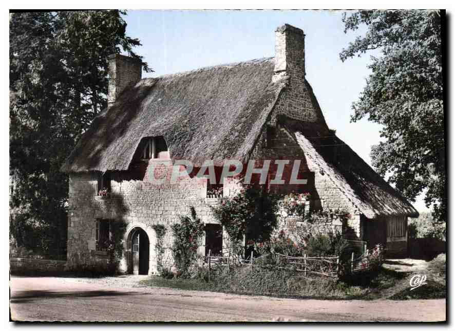 CPM La Luxuriante Normande Maison Normande au toit de chaume 