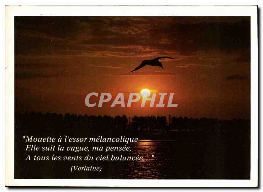CPM Poesie 