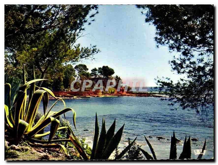 CPM Reflets de la Cote D'Azur 