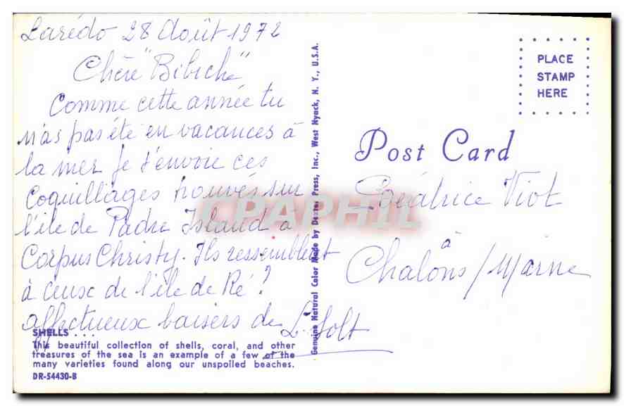 CPM Shells  — Verso