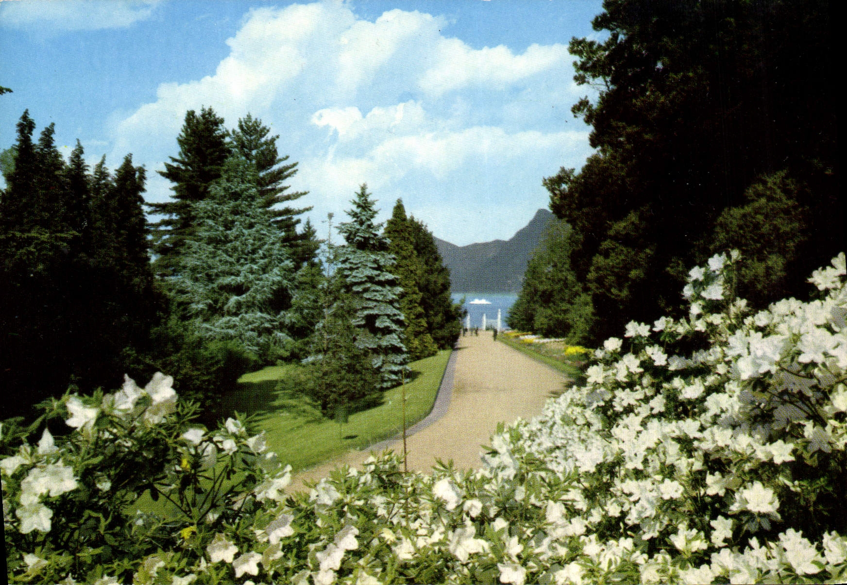 CPM Villa Taranto Viale d'ingresso Verbania Lago Maggiore 