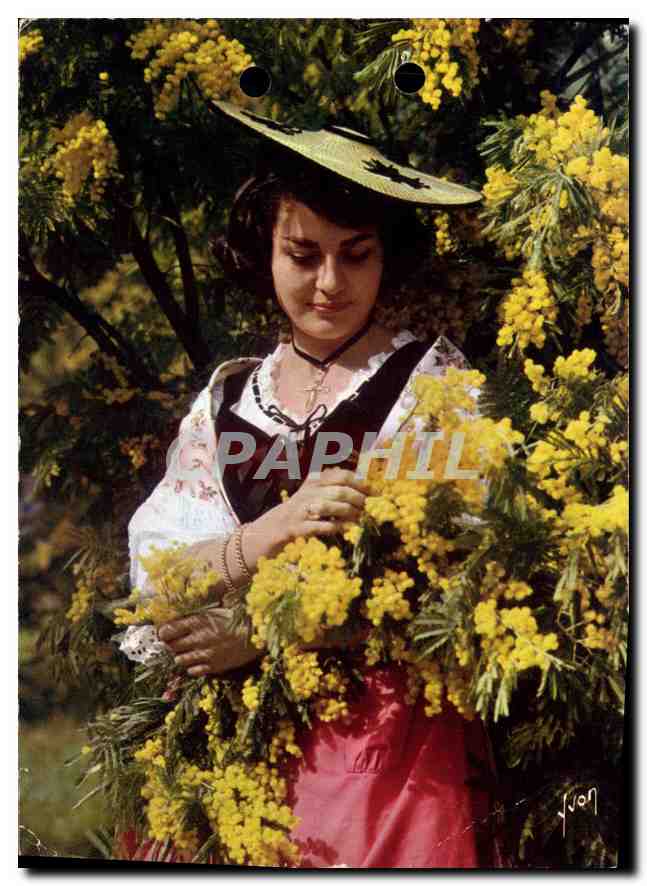 Femme en costume traditionnel parmi les fleurs de mimosa — Éditions Yvon, 1952
